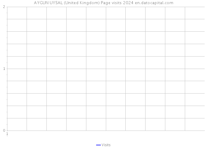 AYGUN UYSAL (United Kingdom) Page visits 2024 