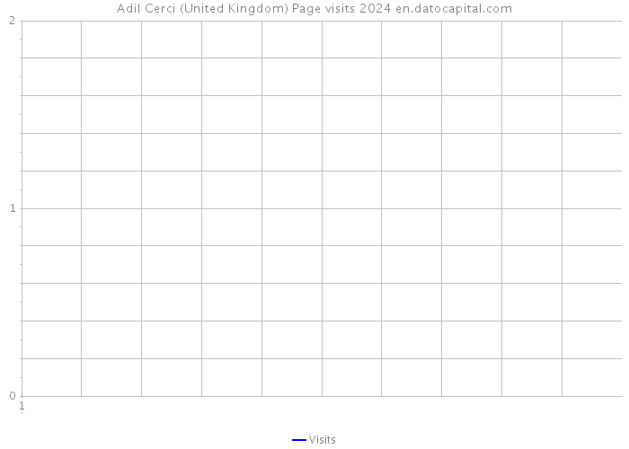 Adil Cerci (United Kingdom) Page visits 2024 