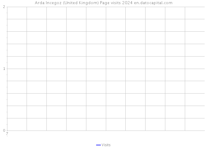 Arda Incegoz (United Kingdom) Page visits 2024 