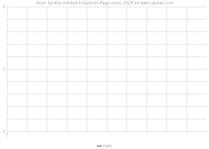 Arun Surelia (United Kingdom) Page visits 2024 