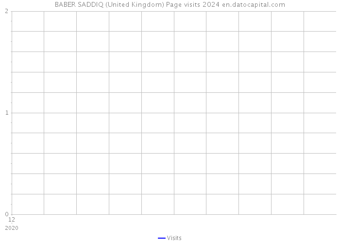 BABER SADDIQ (United Kingdom) Page visits 2024 