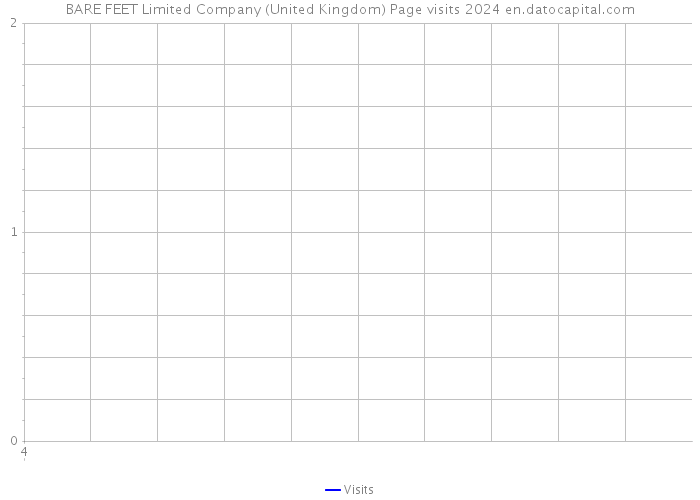 BARE FEET Limited Company (United Kingdom) Page visits 2024 