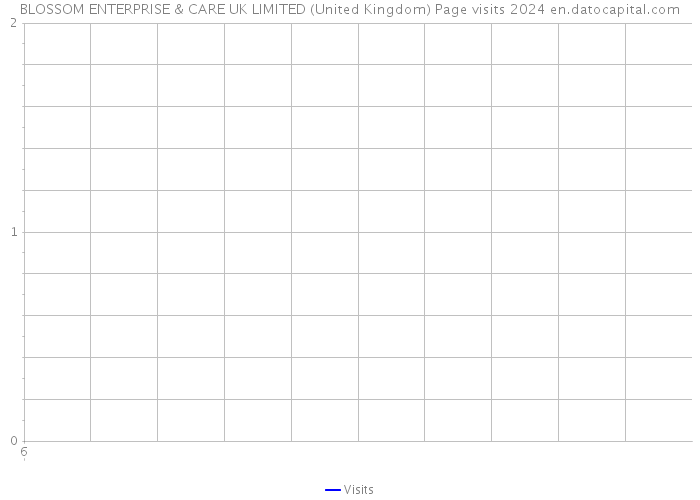 BLOSSOM ENTERPRISE & CARE UK LIMITED (United Kingdom) Page visits 2024 