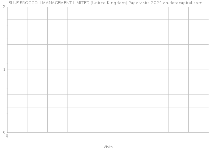 BLUE BROCCOLI MANAGEMENT LIMITED (United Kingdom) Page visits 2024 