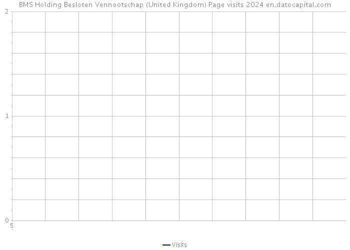 BMS Holding Besloten Vennootschap (United Kingdom) Page visits 2024 