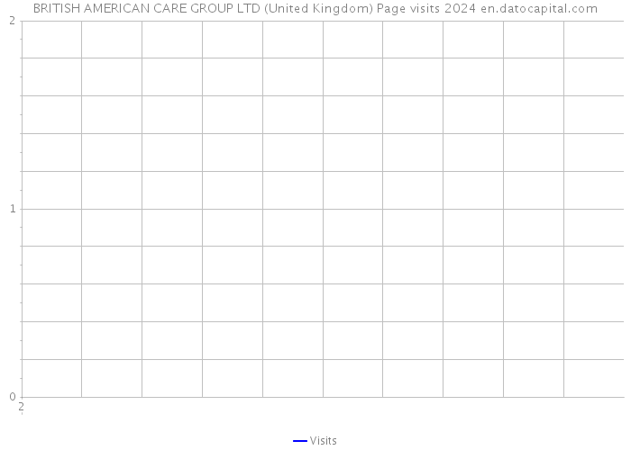 BRITISH AMERICAN CARE GROUP LTD (United Kingdom) Page visits 2024 