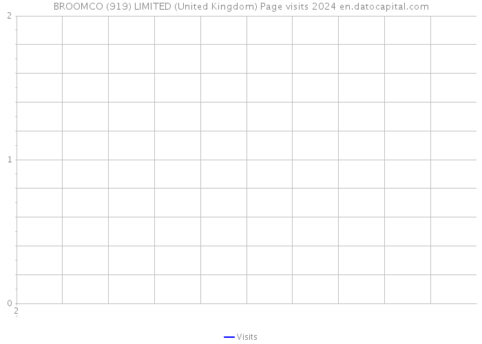 BROOMCO (919) LIMITED (United Kingdom) Page visits 2024 