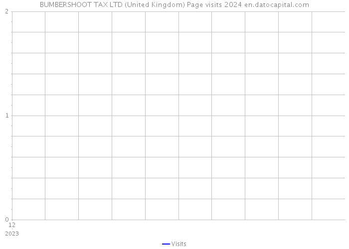 BUMBERSHOOT TAX LTD (United Kingdom) Page visits 2024 