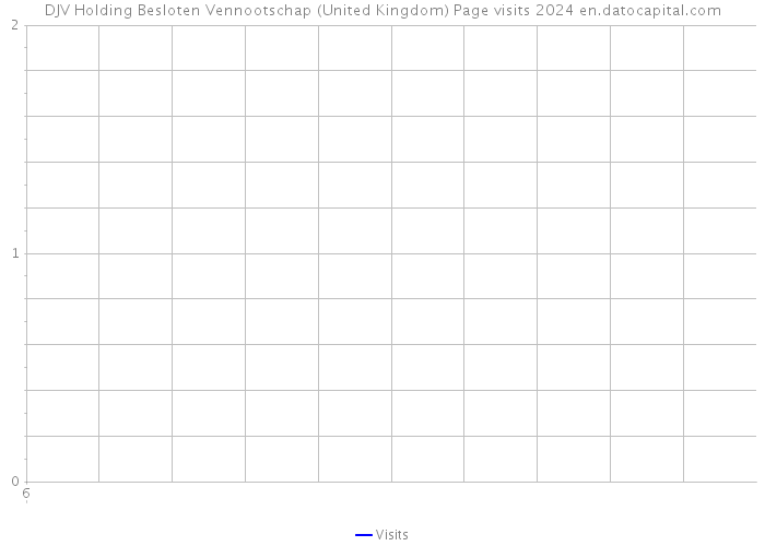 DJV Holding Besloten Vennootschap (United Kingdom) Page visits 2024 