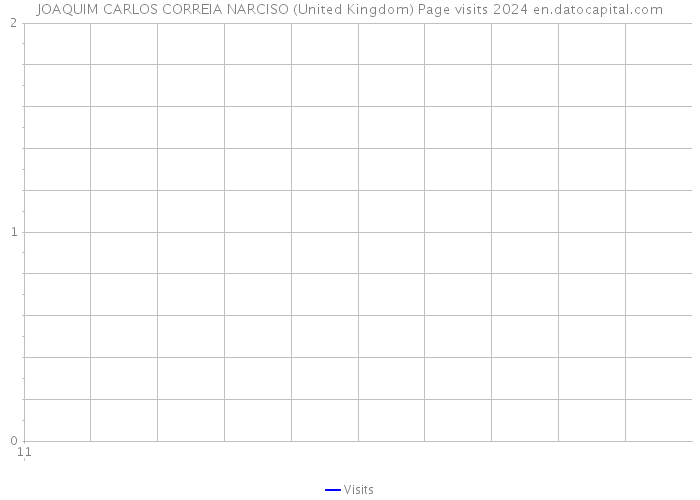 JOAQUIM CARLOS CORREIA NARCISO (United Kingdom) Page visits 2024 