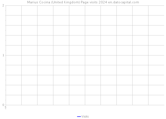 Marius Cocina (United Kingdom) Page visits 2024 