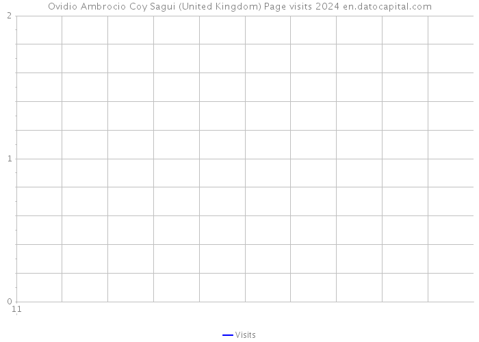 Ovidio Ambrocio Coy Sagui (United Kingdom) Page visits 2024 