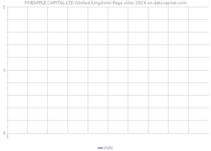 PINEAPPLE CAPITAL LTD (United Kingdom) Page visits 2024 