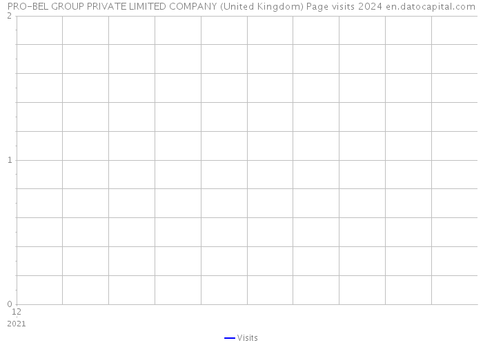 PRO-BEL GROUP PRIVATE LIMITED COMPANY (United Kingdom) Page visits 2024 