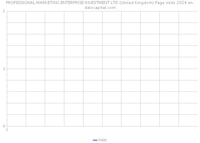 PROFESSIONAL MARKETING ENTERPRISE INVESTMENT LTD (United Kingdom) Page visits 2024 
