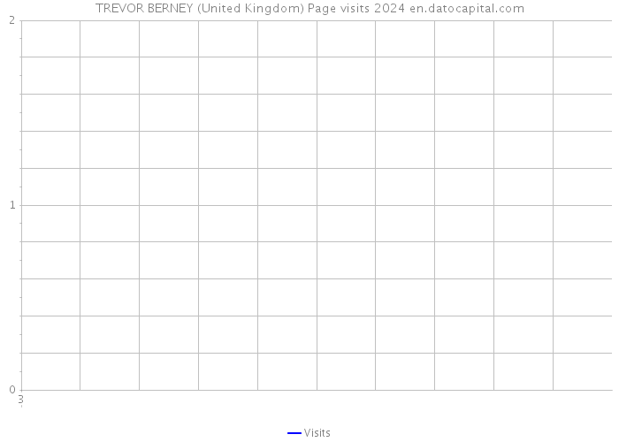 TREVOR BERNEY (United Kingdom) Page visits 2024 