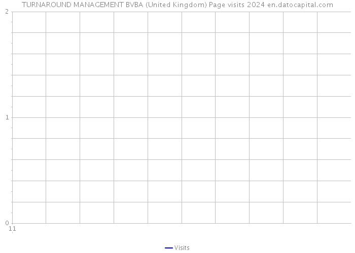 TURNAROUND MANAGEMENT BVBA (United Kingdom) Page visits 2024 