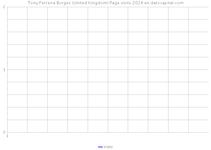 Tony Ferreira Borges (United Kingdom) Page visits 2024 