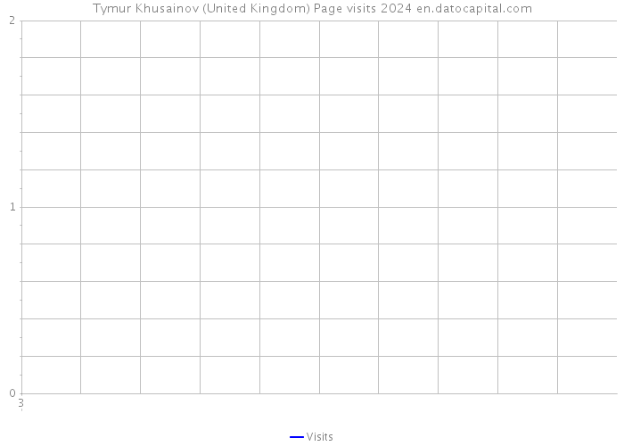 Tymur Khusainov (United Kingdom) Page visits 2024 