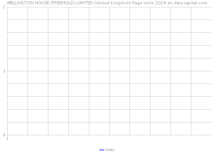WELLINGTON HOUSE (FREEHOLD) LIMITED (United Kingdom) Page visits 2024 