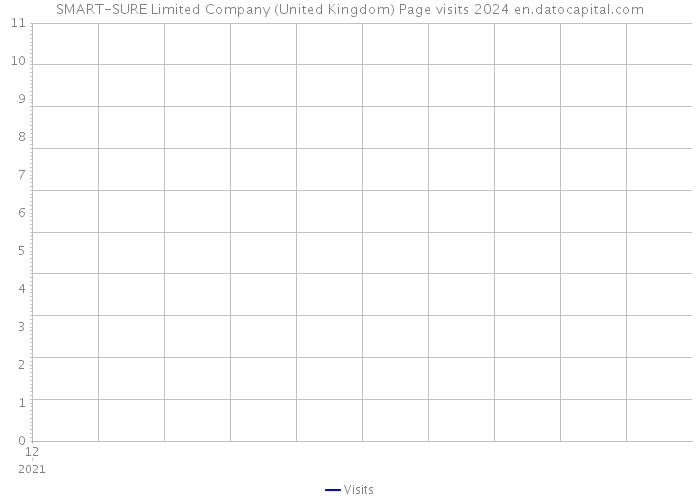 SMART-SURE Limited Company (United Kingdom) Page visits 2024 