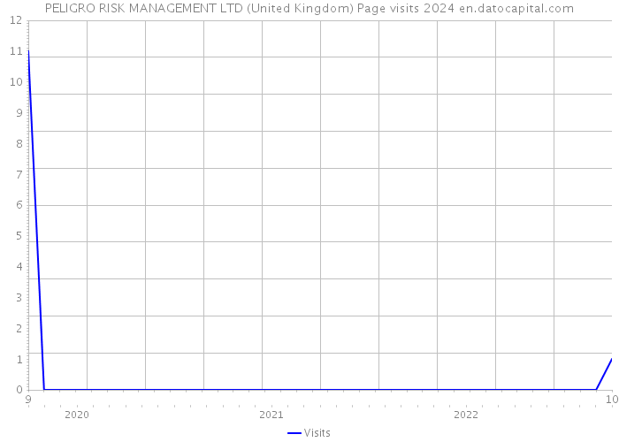 PELIGRO RISK MANAGEMENT LTD (United Kingdom) Page visits 2024 