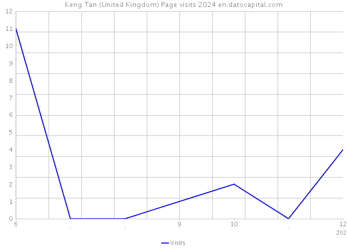 Keng Tan (United Kingdom) Page visits 2024 
