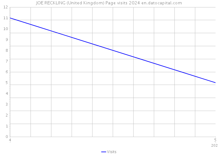JOE RECKLING (United Kingdom) Page visits 2024 
