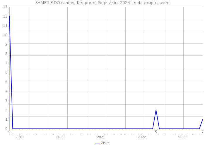 SAMER EIDO (United Kingdom) Page visits 2024 