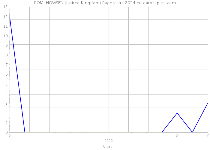 POMI HOWSEN (United Kingdom) Page visits 2024 