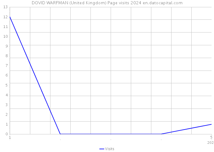 DOVID WARFMAN (United Kingdom) Page visits 2024 