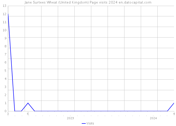 Jane Surtees Wheat (United Kingdom) Page visits 2024 