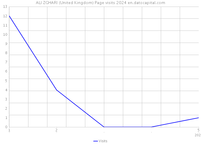 ALI ZGHARI (United Kingdom) Page visits 2024 