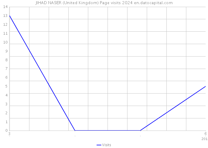 JIHAD NASER (United Kingdom) Page visits 2024 