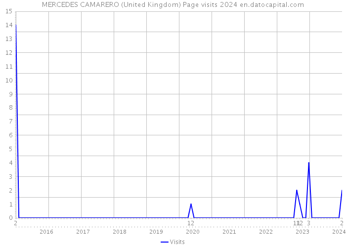 MERCEDES CAMARERO (United Kingdom) Page visits 2024 