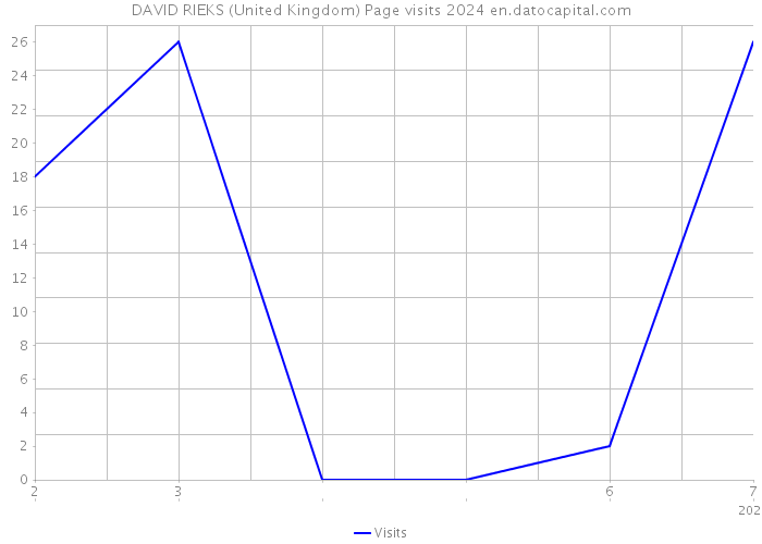 DAVID RIEKS (United Kingdom) Page visits 2024 