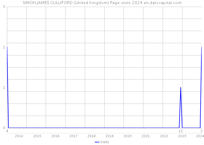 SIMON JAMES GULLIFORD (United Kingdom) Page visits 2024 