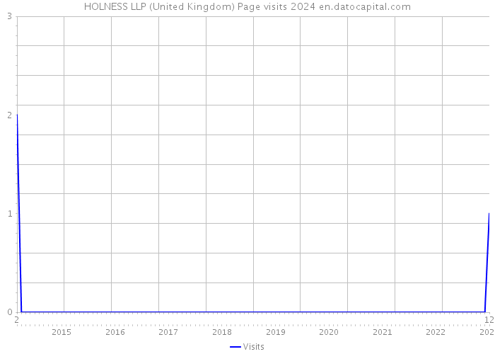 HOLNESS LLP (United Kingdom) Page visits 2024 