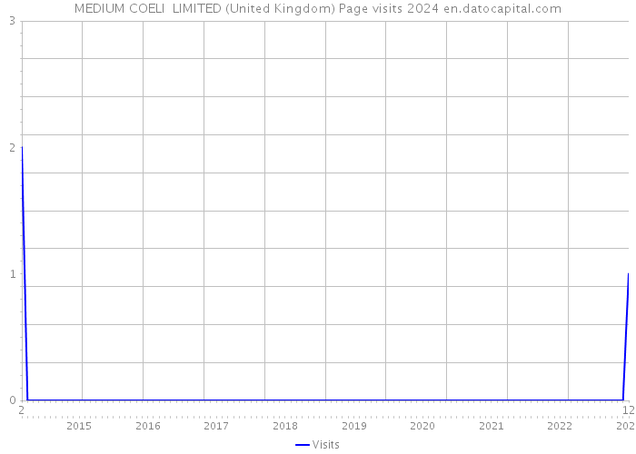 MEDIUM COELI LIMITED (United Kingdom) Page visits 2024 