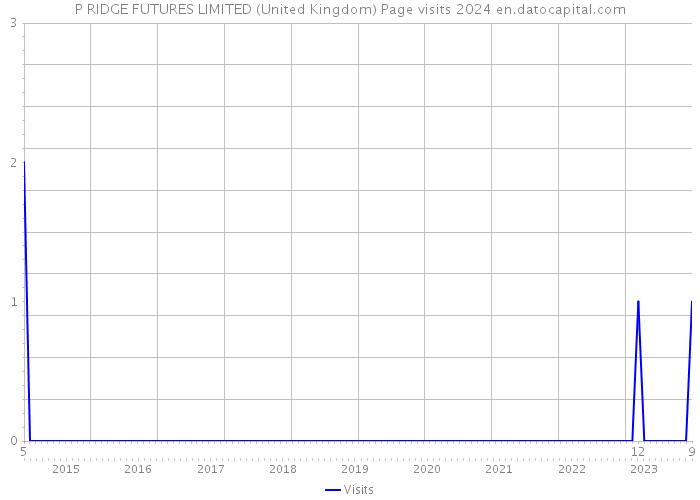P RIDGE FUTURES LIMITED (United Kingdom) Page visits 2024 