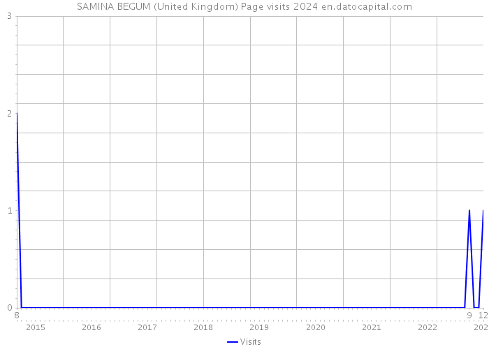 SAMINA BEGUM (United Kingdom) Page visits 2024 