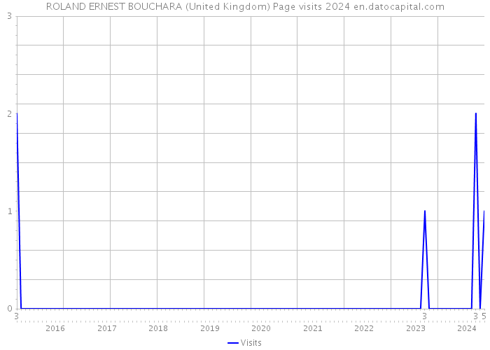 ROLAND ERNEST BOUCHARA (United Kingdom) Page visits 2024 