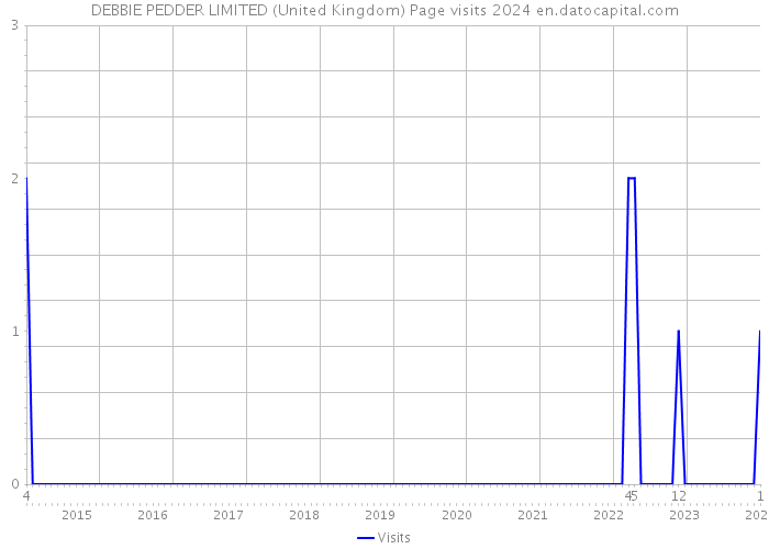 DEBBIE PEDDER LIMITED (United Kingdom) Page visits 2024 