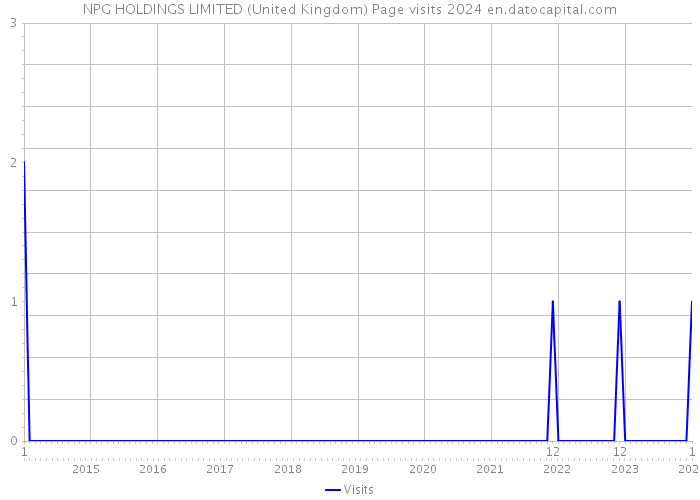 NPG HOLDINGS LIMITED (United Kingdom) Page visits 2024 