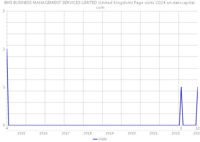 BMS BUSINESS MANAGEMENT SERVICES LIMITED (United Kingdom) Page visits 2024 