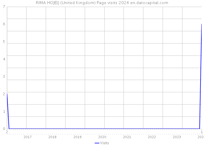 RIMA HOJEIJ (United Kingdom) Page visits 2024 