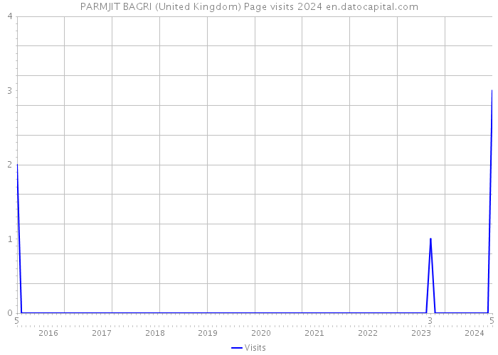 PARMJIT BAGRI (United Kingdom) Page visits 2024 