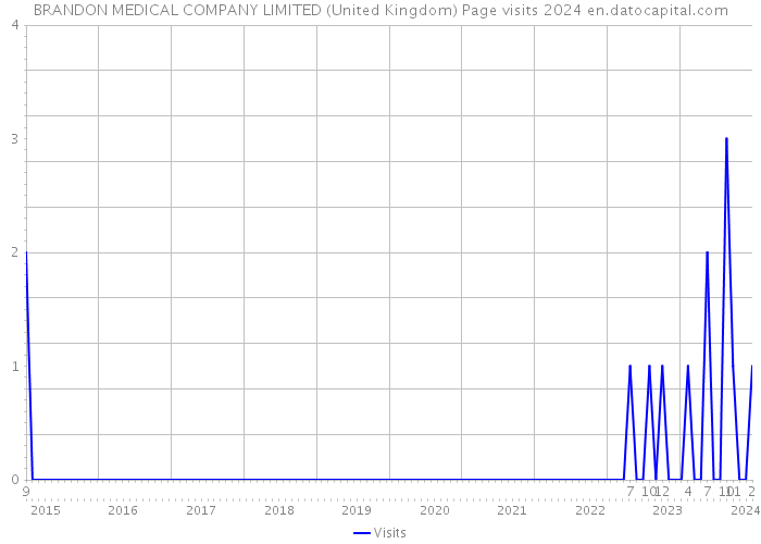 BRANDON MEDICAL COMPANY LIMITED (United Kingdom) Page visits 2024 