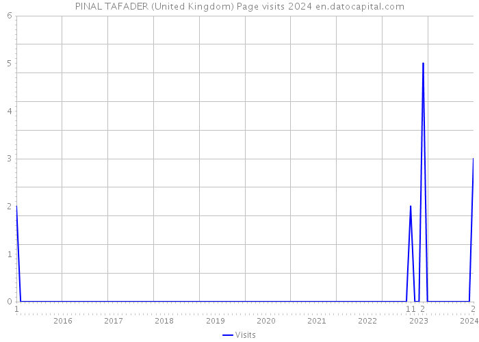 PINAL TAFADER (United Kingdom) Page visits 2024 