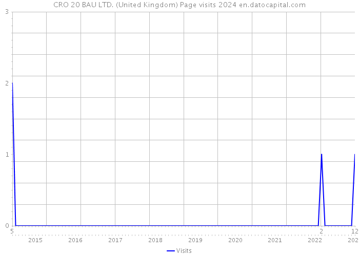 CRO 20 BAU LTD. (United Kingdom) Page visits 2024 
